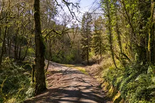 19855 NE Trunk Rd, Dundee, OR 97115 - Photo 40