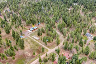 163 Goldenpine, Goldendale, WA 98620 - Photo 6