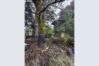 31970 Fern Rd, Philomath, OR 97370 - Photo 20