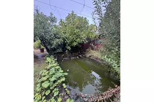 31970 Fern Rd, Philomath, OR 97370 - Photo 14