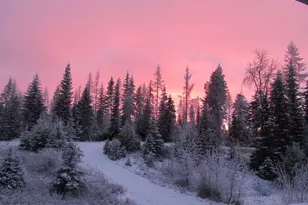 58472 Hwy 204, Weston, OR 97886 - Photo 16