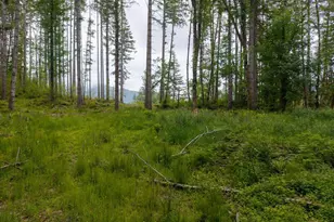 17024 Bratten Hill, Alsea, OR 97324 - Photo 14