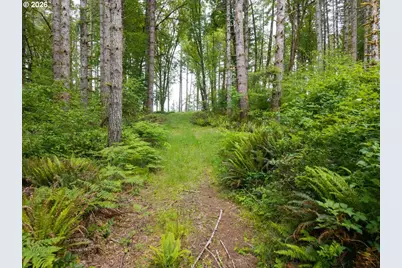 17024 Bratten Hill, Alsea, OR 97324 - Photo 12