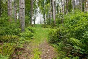 17024 Bratten Hill, Alsea, OR 97324 - Photo 12