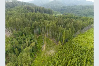 17024 Bratten Hill, Alsea, OR 97324 - Photo 8