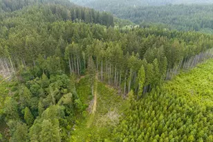 17024 Bratten Hill, Alsea, OR 97324 - Photo 8