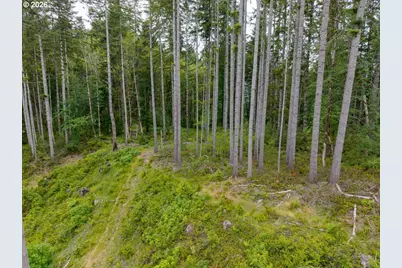 17024 Bratten Hill, Alsea, OR 97324 - Photo 10