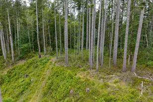 17024 Bratten Hill, Alsea, OR 97324 - Photo 10
