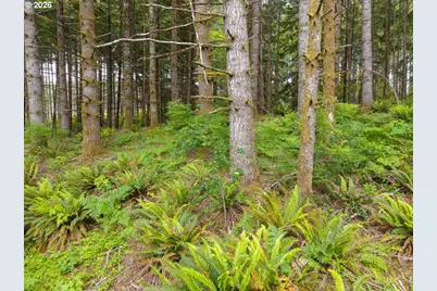 17024 Bratten Hill, Alsea, OR 97324 - Photo 26