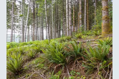 17024 Bratten Hill, Alsea, OR 97324 - Photo 22
