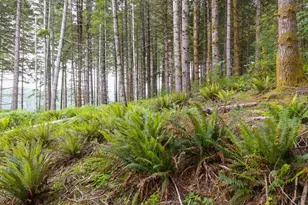 17024 Bratten Hill, Alsea, OR 97324 - Photo 22