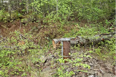 565 Canyon Rd, Lyle, WA 98635 - Photo 26