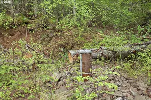 565 Canyon Rd, Lyle, WA 98635 - Photo 26
