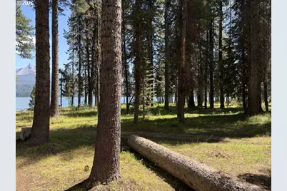 97 Diamond Lake Loop, Chemult, OR 97731 - Photo 32