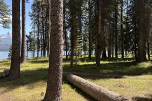97 Diamond Lake Loop, Chemult, OR 97731 - Photo 32