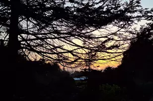 94474 Riley Creek Way, Gold Beach, OR 97444 - Photo 42