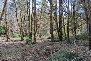 50269 SW Hebo Rd, Grand Ronde, OR 97347 - Photo 36