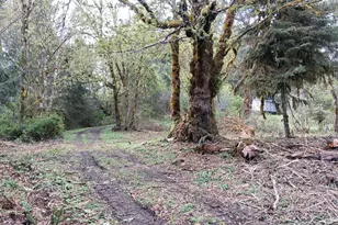 50269 SW Hebo Rd, Grand Ronde, OR 97347 - Photo 38