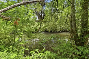 37340 Camp Creek Rd, Springfield, OR 97478 - Photo 30