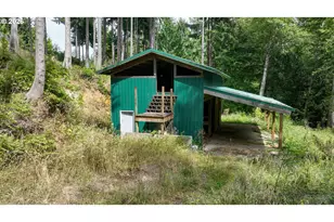 41476 Ziak Gnat Creek Ln, Astoria, OR 97103 - Photo 30