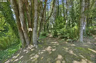 12290 Hwy 126, Mapleton, OR 97453 - Photo 42