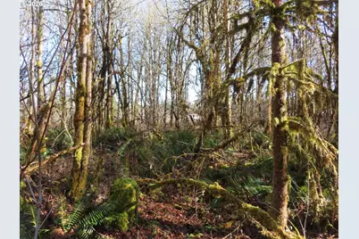 115 Campground Ln, Winlock, WA 98596 - Photo 4