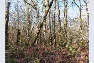 115 Campground Ln, Winlock, WA 98596 - Photo 16