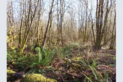 115 Campground Ln, Winlock, WA 98596 - Photo 14