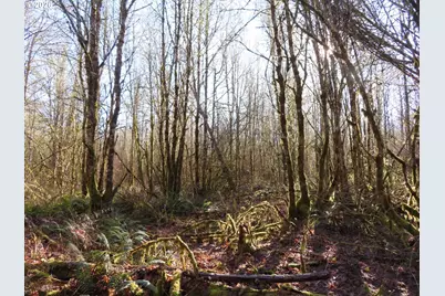 115 Campground Ln, Winlock, WA 98596 - Photo 20