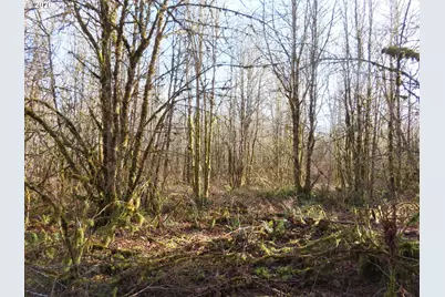 115 Campground Ln, Winlock, WA 98596 - Photo 12