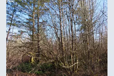 115 Campground Ln, Winlock, WA 98596 - Photo 6