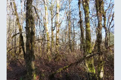 115 Campground Ln, Winlock, WA 98596 - Photo 18