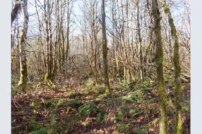 115 Campground Ln, Winlock, WA 98596 - Photo 8