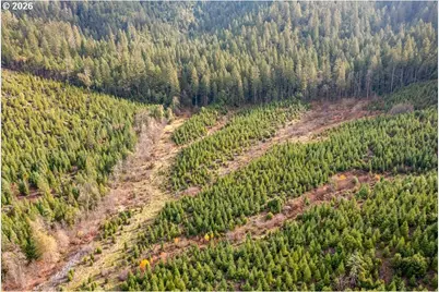 McMullen Creek Rd, Selma, OR 97538 - Photo 2