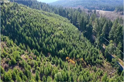 McMullen Creek Rd, Selma, OR 97538 - Photo 22