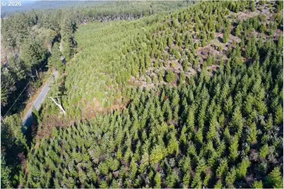 McMullen Creek Rd, Selma, OR 97538 - Photo 16