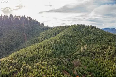 McMullen Creek Rd, Selma, OR 97538 - Photo 1