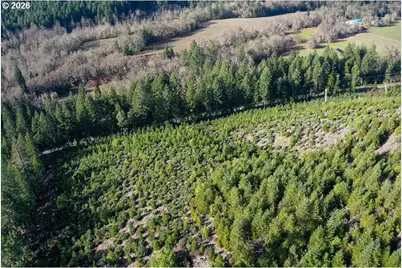McMullen Creek Rd, Selma, OR 97538 - Photo 30