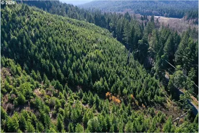 McMullen Creek Rd, Selma, OR 97538 - Photo 24