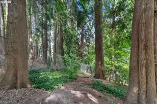 11165 SW Morgen Ct, Tigard, OR 97223 - Photo 46