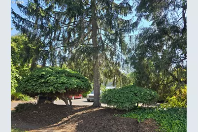 1232 W 8th Ave, Eugene, OR 97402 - Photo 2