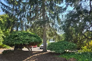 1232 W 8th Ave, Eugene, OR 97402 - Photo 2