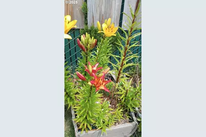 39100 NW Pacific Hwy, Woodland, WA 98674 - Photo 22