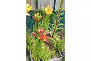 39100 NW Pacific Hwy, Woodland, WA 98674 - Photo 22