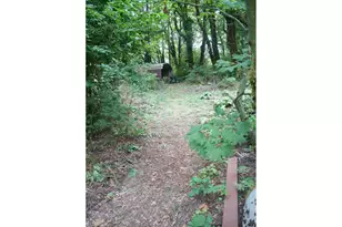 41300 E Larch Mountain Rd, Corbett, OR 97019 - Photo 36