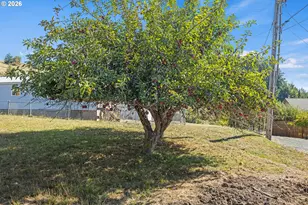 1826 22nd St, Myrtle Point, OR 97458 - Photo 10