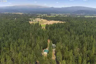 19 Lois Ln, Trout Lake, WA 98650 - Photo 46
