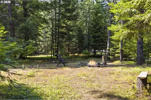 19 Lois Ln, Trout Lake, WA 98650 - Photo 40