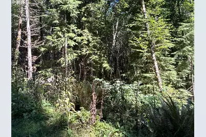 1 Eden Valley Rd, Rosburg, WA 98643 - Photo 6