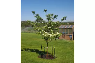 75077 W Oregon Ln, Irrigon, OR 97844 - Photo 40